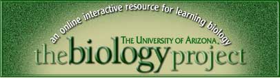 Biology-project